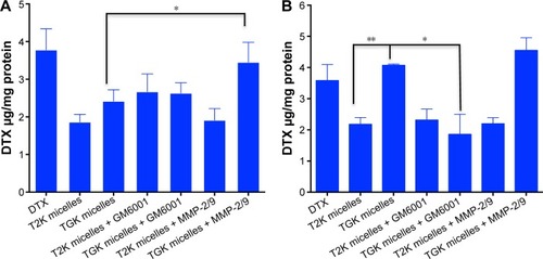 Figure 6 The cellular uptake of DTX and DTX-loaded T2K and TGK micelles.Notes: The cellular uptake of DTX and DTX-loaded T2K and TGK micelles in the presence of GM6001 and MMP-2/9 in MCF-7 (A) and HT1080 (B) cells. Values are expressed as mean ± SD (n=3); *P<0.05; **P<0.01. HT1080 is the human fibrosarcoma cell line, MCF-7 is the human breast adenocarcinoma cell line.Abbreviations: T2K micelles, micelles composed of TPGS/T2K (n:n =40:60); TGK micelles, micelles composed of TPGS/TGK (n:n =40:60); SD, standard deviation; TPGS, d-α-tocopheryl polyethylene glycol 1000 succinate; MMP, matrix metalloproteinase.