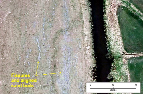 Figure 7. Liquefaction adjacent to the Styx River, west of Brooklands, February 2011. Note the alignment of sand boils parallel to the river margin (arrowed). This area was also affected in September 2010 (image NZAM 24/02/2011; centre of view approximately 1574970, 5194550).