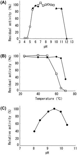 Fig. 2. Biophysical properties of recombinant T3-3AP Notes: (A) effect of pH on the stability of recombinant T3-3AP; enzymes were incubated at 25 °C for 24 h in acetate buffer (○), MES buffer (◆), triethanolamine buffer (□), and glycine buffer (▲). Residual activity was measured at pH 8.0 at 60 °C. Initial activity before incubation is defined as 100%. (B) Effect of temperature on the stability of recombinant T3-3AP (◆) and CIAP (□); APase solutions were incubated at various temperatures for 60 min and were then cooled, and residual activity was measured at pH 9.8 at 37 °C. Initial activities before incubation are defined as 100%. (C) Effect of pH on the activity of recombinant T3-3AP; measurements were performed in diethanolamine buffer at 37 °C. Activities under optimal pH conditions are defined as 100.