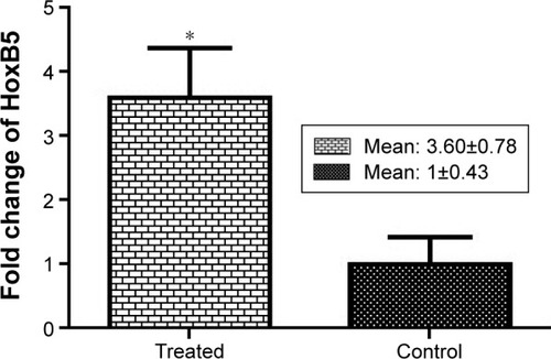 Figure 4 Fold changes of HoxB5 expression.