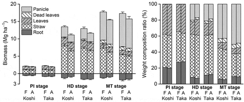 Figure 2. Biomass and the weight composition ratio of each part of paddy rice. Bars denote the standard deviation (n = 4 blocks). PI, HD, and MT denote the panicle initiation, heading, and maturing stages, respectively. F, elevated carbon dioxide (CO2) plot; A, ambient CO2 plot; Koshi, paddy rice (cv. Koshihikari); and Taka, paddy rice (cv. Takanari).