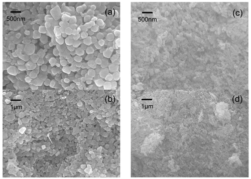 Figure 2. CoAl2O4 powders subjected to traditional heat drying ((a) and (b)) and supercritical fluid drying ((c) and (d)) at 1400°C.