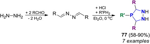 Scheme 46. Stepwise phospha-Mannich reactions of hydrazine with primary phosphines.[Citation137–139] Products, yields, and 31P NMR shifts, are listed in Table S8.