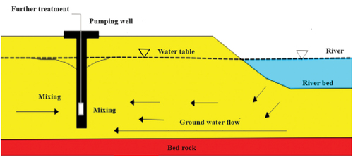 Figure 1. Cross sectional view for river bank filtration system (Mustafa et al., Citation2014).