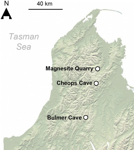 Figure 1  Geographic locations within northwest Nelson, South Island, of late Holocene crested moa remains, determined by radiocarbon dating.