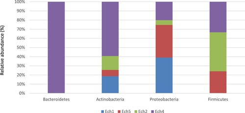 Figure 2. The relative abundance of the core phyla in the fecal microbiome of pre- and post-weaned lambs.