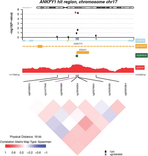 Figure 5. Zoomed-in plot featuring functional annotations for ANKFY1. Zoomed-in plot (top panel) shows the – log10 P values for the semi-continuous model within a 16 kb neighbor of cg13303203/ANKFY1 on the genome. Functional annotations are derived from the ENCODE project and include regulatory, gene, CpG island, and GC content tracks. The lower panel shows pairwise correlations among the CpG sites selected. The plot was generated using the ‘CoMet’ packaged in R.