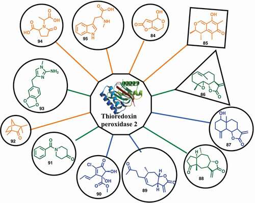 Figure 15. A high ligandable malarial target Thioredoxin peroxidase 2 (Trx-Px2) with its 12 fragment binders (84–95): green indicates strong binding, blue indicates medium binding and orange indicates weak binding