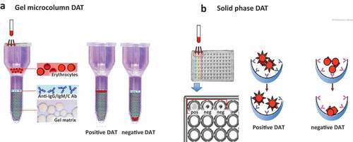 Figure 2. DAT in microcolumn (a) and solid phase (b).