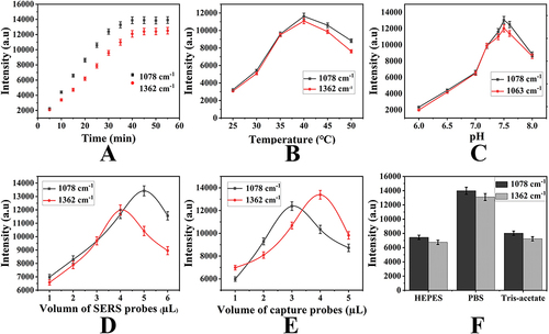 Figure 7 Optimization of (A) incubation time (B) temperature (C) pH (D) volume of SERS probes for ctDNAs; (E) volume of capture probes; (F) category of buffer solution.