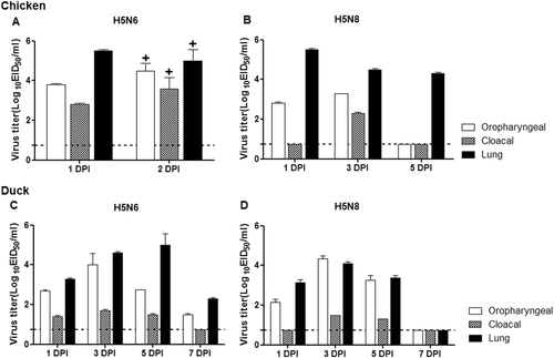 Fig. 2 Replication of Em/W541(H5N6) and CT/W555(H5N8) in avian models.Virus replication was examined in chickens and ducks that had been experimentally inoculated via the intranasal route with 106 EID50/ml of each virus. Oropharyngeal swabs, cloacal swab, and lung titers of chickens are shown for Em/W541(H5N6) (a) and CT/W555(H5N8) (b). Oropharyngeal swabs, cloacal swabs, and lung titers from ducks are shown for Em/W541(H5N6) (c) and CT/W555(H5N8) (d). Mean viral titers (log10 EID50/ml) are shown for each group of birds. The limit of virus detection was 0.7 log10 EID50/ml