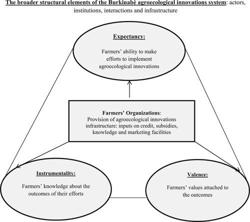 Figure 1. A conceptual framework for analyzing FOs’ influence on farmers’ decisions about agroecological innovations. Source: Own elaboration based on Vroom (Citation1964); Leeuwis and Aarts (Citation2020); Engler et al. (Citation2019); Shang et al. (Citation2021); Schiller et al. (Citation2020) and Kebebe et al. (Citation2015).