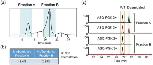 Figure 3. Fractionation of trastuzumab charge variants and confirmation by peptide mapping. (a) WCX fractionation of trastuzumab collected as fractions A and B. (b) Label-free quantitation of deamidation on N30 of trastuzumab LC based on AUC of extracted ion chromatograms. (c) Extracted ion chromatograms of doubly and triply charged mass of tryptic N30 LC peptide with and without deamidation from fractions A and B.