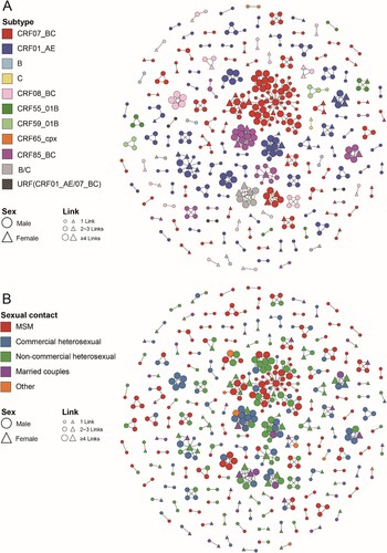 Figure 2. Molecular transmission network analysis of patients infected with different HIV-1 subtypes in Jiaxing city from 2017 to 2020. HIV-1 transmission cluster diagrams illustrating the structure and demographics of the putative transmission clusters among newly diagnosed individuals from 2017 to 2020. All edges represent a genetic distance between nodes of less than 0.01 substitutions/site, and the colour of the node indicates the different HIV-1 subtypes (A) and the different sexual contact risk groups (B). Different shapes denote sex, and the node size indicates the number of associated links.