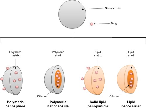 Figure 2 Schematic differences between nanocapsule, nanostructured lipid carrier, polymeric nanoparticle, and solid lipid nanoparticle drug delivery systems.