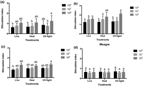 Figure 2. Respiratory burst activity of HK leucocytes from different species after incubation with live and inactivated bacteria. Results are expressed as stimulation index obtained by dividing each sample value by its mean control. Significant difference (P < 0.05).