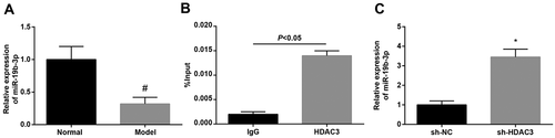 Figure 3. NPSR1-AS1 post-transcriptionally regulates NPSR1 expression in TC cells. A RT-qPCR analysis was done for the investigation into NPSR1 expression in different cell lines including TC cell lines (KTC-1, SW1736, KAT-18 and FTC133) and Nthy-ori 3–1. B the NPSR1 were measured by means of RT-qPCR and western blot in NPSR1-AS1 silenced cells. C Subcellular fractionation assays were done to illustrate the cellular distribution of NPSR1-AS1 in TC cells. *P < 0.05, **P < 0.01.