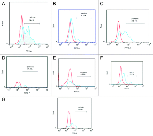 Figure 2. Perforin expression in CD3+CD56+ T lymphocytes in the peripheral blood of patients with AL patient, CR-AL, and healthy controls in relation to WBC count. In each plot, the red peak represents the negative control for perforin, and the blue peak represents perforin expression in each group, respectively.Perforin expression levels in AML and ALL patients were lower than in healthy controls, and remained lower even after CR. Changes in WBC counts in AML and ALL patients had no effect on perforin expression. (A) Healthy controls, (B) AML-1, (C) AML-2; (D) ALL-1, (E) ALL-2, (F) CR-AML, (G) CR-ALL.