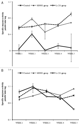 Figure 1. Effect of Lr 231 on azoreductase and nitroreductase activity in the intestinal microflora of rat models, administered with MNNG on 22nd and 28th day. Azoreductase (A) and nitroreductase (B) activity decreased significantly (p < 0.001 and p < 0.01) in Lr 231 group in comparision to control group. Values are mean ± SE of six different samples.