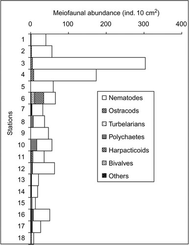 Figure 3. Abundance (ind. 10 cm–2) of mieiofaunal taxa at each station.