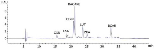 Figure 5. Poultry feed: RP-HPLC chromatograms of test feed samples as specified in Table 2. CXN, canthaxanthin; CSN, capsanthin; CIXN, citranaxanthin; BACARE, ethyl ester of beta-apo-8ʹ-carotenoic acid; LUT, lutein; BCAR, beta-carotene; ZEA, zeaxanthin.