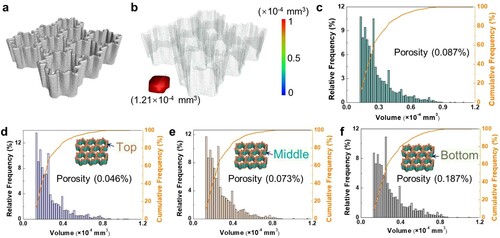 Figure 6. Micro-CT analysis reflecting the pores distribution in the LPBF-processed double-asymmetric honeycomb with the gradation parameter α of 2/5:(a) CT-reconstructed model; (b) distribution of internal defects throughout the structure; Statistical porosity for the (c) whole model, (d) the top, (e) the middle and (f) the bottom sections.