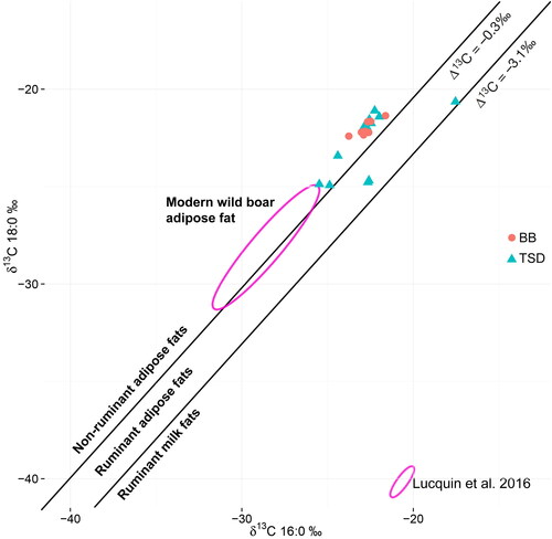 Figure 10. The distribution of δ13C18:0 and δ13C16:0 values of Tongsamdong (TSD) and Beombang (BB) samples, indicating a difference in subsistence strategy.