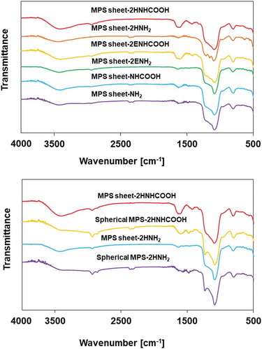 Figure 3. Fourier-transform IR (FT-IR) absorbance spectra of MPS sheet-2HNHCOOH, MPS sheet-2HNH2, MPS sheet-2ENHCOOH, MPS sheet-2ENH2, MPS sheet-NHCOOH, MPS sheet-NH2, MPS sheet-2HNHCOOH, spherical MPS-2HNHCOOH, MPS sheet-2HNH2, and spherical MPS-2HNH2, respectively.