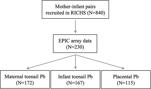 Figure 1. Analysis strategy. RICHS study population comprised of 840 mother–infant pairs with demographic information, and 230 participants had available EPIC array data. Participants with Pb exposure data quantified from different biomarkers are included in this study: maternal toenail (N = 172), infant toenail (N = 167), and placenta (N = 115).x