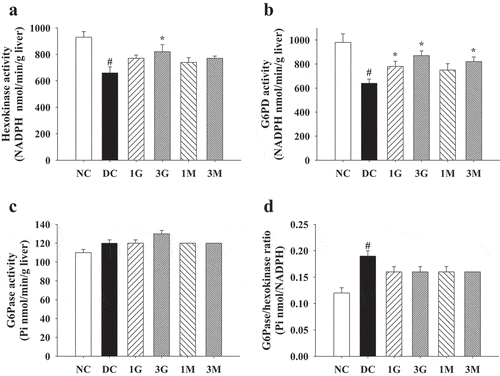 Figure 4. The activities of carbohydrate metabolism enzymes in liver of diabetic rats fed with G. lucidum powder supplement diets. The rats were injected with nicotinamide and STZ for the induction of diabetes and fed with G. lucidum powder supplement diets for 5 weeks. The rats were sacrificed, and the liver samples were harvested and prepared for the detection of (a) hexokinase, (b) glucose-6-phosphate dehydrogenase (G6PD) and (c) glucose-6-phosphatase (G6Pase) activities and calculation of (d) G6Pase/hexokinase ratio as described in Materials and methods. Results are expressed as mean ± SEM for each group of rats (n = 8). p < 0.05 compared with the NC group; *p < 0.05 compared with the DC group. NC: normal control; DC: diabetic control; 1 G: diabetic rats fed with 1% G. lucidum powders; 3 G: diabetic rats fed with 3% G. lucidum powders; 1 M: diabetic rats fed with 1% G. lucidum mycelium powders. 3 M: diabetic rats fed with 3% G. lucidum mycelium powders