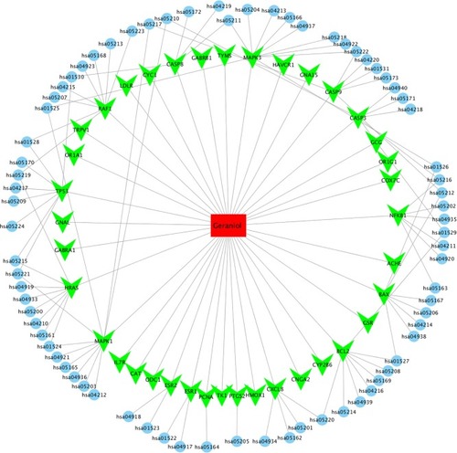 Figure 5 Geraniol-target-pathway network.