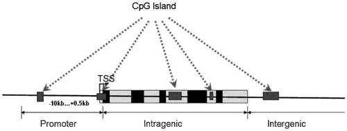 Figure 1. The definition of relationship between CPG and transcript regions.