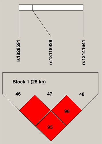 Figure 1 haplotype block map for the HHIP tSNPs genotyped in this study.