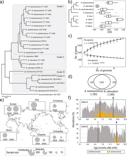 Figure 1. General genome features of B. kashiwanohense.