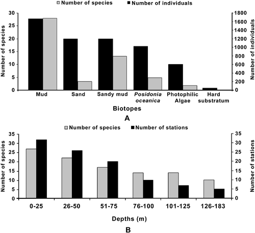 Figure 3. The distribution of number of species and individuals to biotopes (A) and the depth intervals (B).