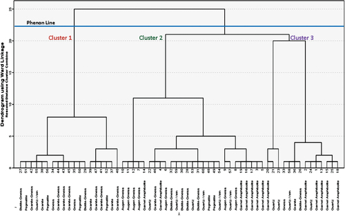 Figure 3. Q mode dendrogram of HCA of Lithological Class of sample points.