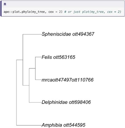 Fig. 1 A phylogenetic tree from our tutorial. It was extracted using OpenTree of Life resources (Open Tree Of Life et al. Citation2019) wrapped in the rotl R package (Michonneau, Brown, and Winter Citation2016).