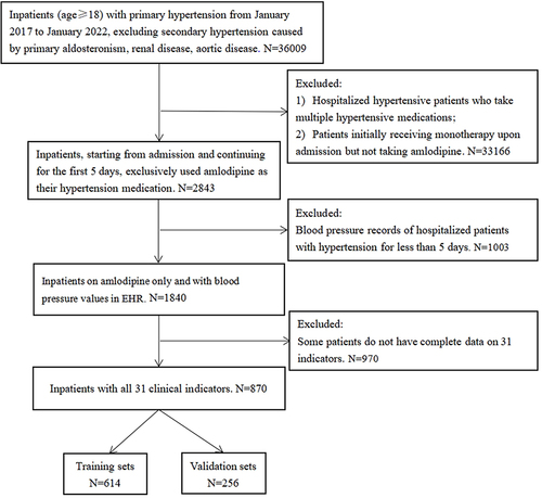 Figure 1 Data Processing and Analysis Flowchart.