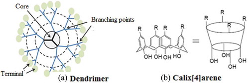 Figure 2. Structures of (a) dendrimer and (b) Calix[4]arene.