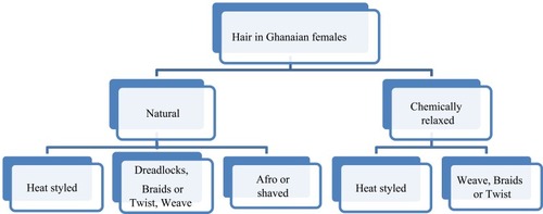 Figure 1 Line diagram of Negroid African hairstyling techniques and how they overlap. Adapted Roseborough IE, McMichael AJ. Hair care practices in African-American patients. Semin Cutan Med Surg. 2009;28(2):103–108.Citation6