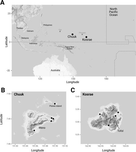 Figure 1. Location of the sampling sites in Chuuk and Kosrae, the Federated States of Micronesia.