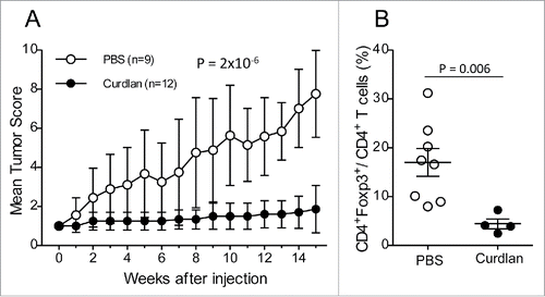 Figure 6. Protection against tumor development by curdlan treatment. (A) (NODxB6)F1.RET+ transgenic mice (6–7 weeks of age) were injected intraperitoneally twice with curdlan (100 µg/g of body weight, n = 12) or with PBS (n = 9) with a one-week interval and were monitored weekly for tumor progression. The data are pooled from two experiments conducted at an interval of 6 mo. The mean tumor score and its standard deviation are shown at each timepoint. The difference of tumor scores between both groups was tested using a linear model with mixed effects. (B) Reduction of CD4+Foxp3+ T cells in tumors of curdlan-treated mice.