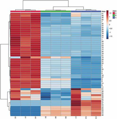 Figure 3. Clustering heat maps of aroma compounds of ginger oils.