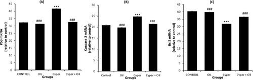 Figure 1. PCR analysis of brain p53 (A) Caspase 3 (B), and Bcl-2 (C) expression. CONTROL: normal control, OIL: Sesame oil, Cyper: Cypermethrin and Cyper + Oil: Cypermethrin rats treated with Sesame oil. Data are Mean ± SE (n = 10). ***P < 0.001 versus Control, and ###P < 0.001 versus CYP.