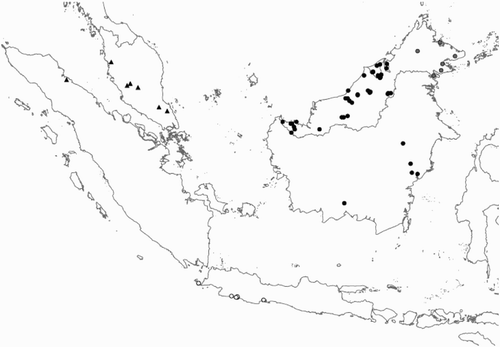 Figure 2. Distribution of the species of the Rhinagrion borneense group based on material from this article and hitherto published records. For Rhinagrion borneense unpublished records from Sarawak made available by R. Dow are also included. Black dots: R. borneense; grey dots on Borneo: R. elopurae; triangles: R. macrocephalum; open circles: R. tricolor.