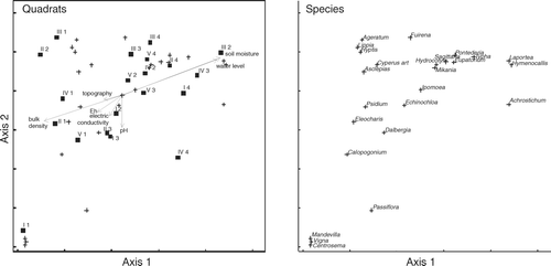 Figure 2.  NMDS ordination of quadrats and wetland species in the dry season (stress=7.1% for two dimensions; final instability = 4×10−5 with 41 iterations). Ordination based on percent cover of species data. Abiotic data are represented by vectors. The angle and length of vectors indicates the direction and strength of the relationships between abiotic factors and ordination scores.