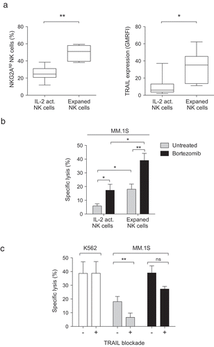 Figure 6. Ex vivo expanded NK cells with a large proportion of NKG2ASP cells and high levels of cell surface TRAIL are the optimal NK cell preparation for targeting bortezomib-exposed MM cells.The proportion of NKG2ASP NK cells and level of TRAIL expression and MM lysis capacity of overnight IL-2 activated and ex vivo expanded NK cells were assessed. (a) The proportion of NKG2ASP NK cells among overnight IL-2 activated and ex vivo expanded NK cells as well as TRAIL expression on both NK cell preparations were measured (n = 9). (b) The capacity of overnight IL-2 activated and ex vivo expanded NK cells to lyse the MM cell line MM.1S either unexposed (grey bars) or pre-exposed (black bars) to 5 nM bortezomib (n = 8). (c) The capacity of unblocked or TRAIL blocked ex vivo expanded NK cells to lyse the MM cell line MM.1S either unexposed (grey bars) or pre-exposed (black bars) to 5 nM bortezomib (n = 8). The capacity of unblocked or TRAIL blocked ex vivo expanded NK cells to lyse K562 cells (white bars) was measured as a control (n = 8). Bars, mean. Error bars, standard deviation. ns, non-significant, * p < 0.05, ** p < 0.01.