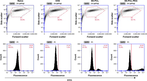 Figure S3 Representative flow plot of NPs taken up by NIH-3T3 cells.Abbreviations: NPs, nanoparticles; OVA, ovalbumin; 6S-PCL, six-arm poly(ε-caprolactone); 6S-PCL-PEG, six-arm poly(ε-caprolactone)–poly(ethylene glycol); FITC, fluor-escein isothiocyanate.