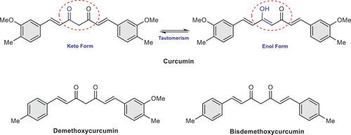 Figure 1. Turmeric curcuminoid forms and their keto-enol tautomerism.