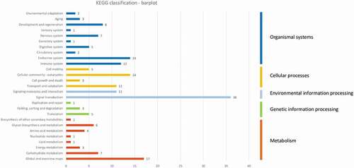 Figure 8. Descriptive KEGG pathway classification bar plot obtained using the genes found in the 385 differentially methylated EpiRADseq loci. The horizontal bars represent the absolute number of genes found in second-level KEGG pathways, grouped in first-level KEGG pathways using a colour code. The vertical bars on the right indicate the names of first-level pathways